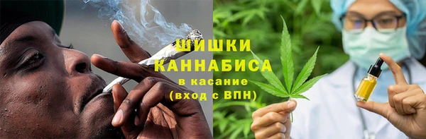 гидра Бородино