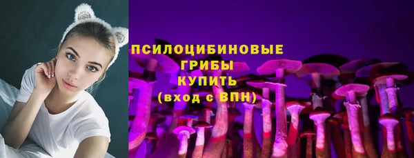 COCAINE Богородицк