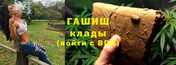 гидра Бородино