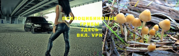 a pvp Беломорск