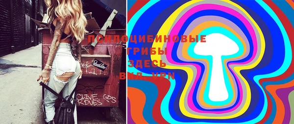 COCAINE Богородицк