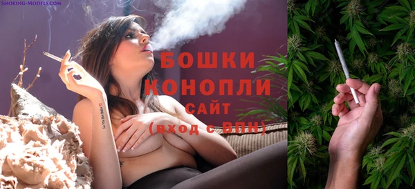 прущий лед Богородск