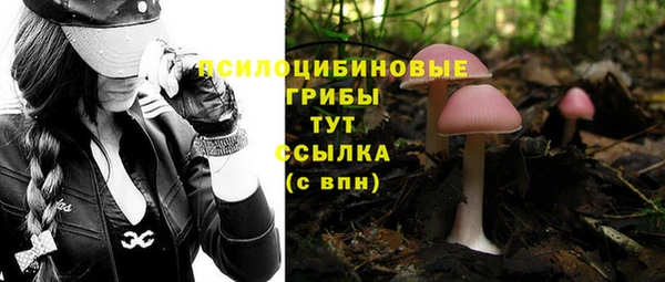 гидра Бородино