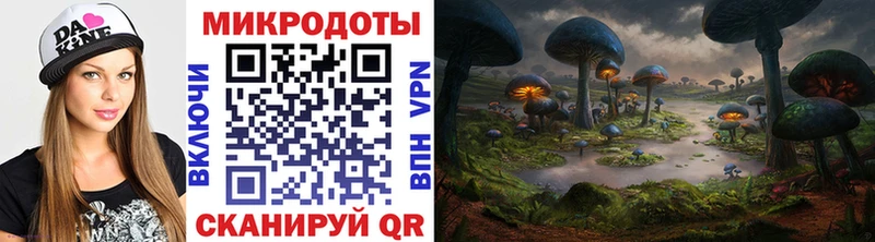 закладка  Гусев  Галлюциногенные грибы Psilocybe 