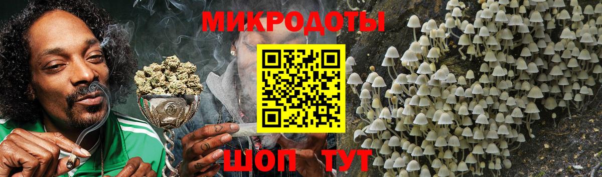 Галлюциногенные грибы Cubensis  Галлюциногенные грибы прущие грибы  Вход с VPN  Гусев 